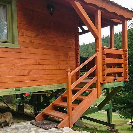 Cabana Casa Craita Zărneşti المظهر الخارجي الصورة