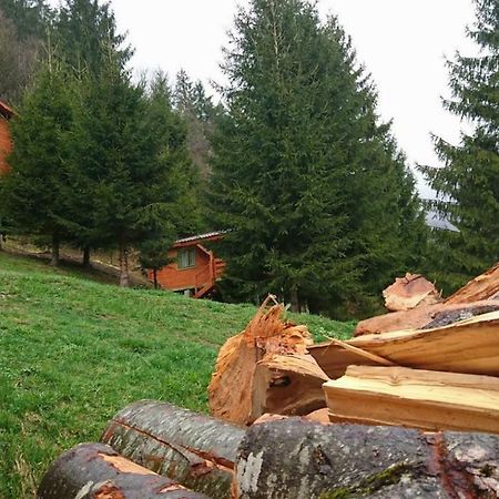 Cabana Casa Craita Zărneşti المظهر الخارجي الصورة