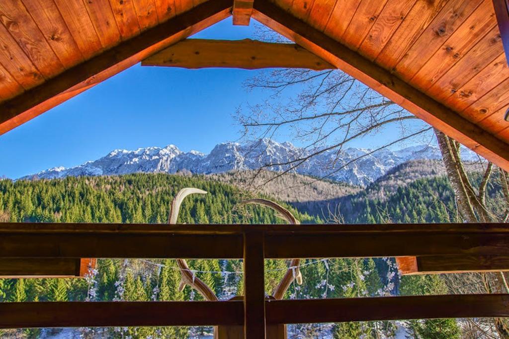 Cabana Casa Craita Zărneşti الغرفة الصورة