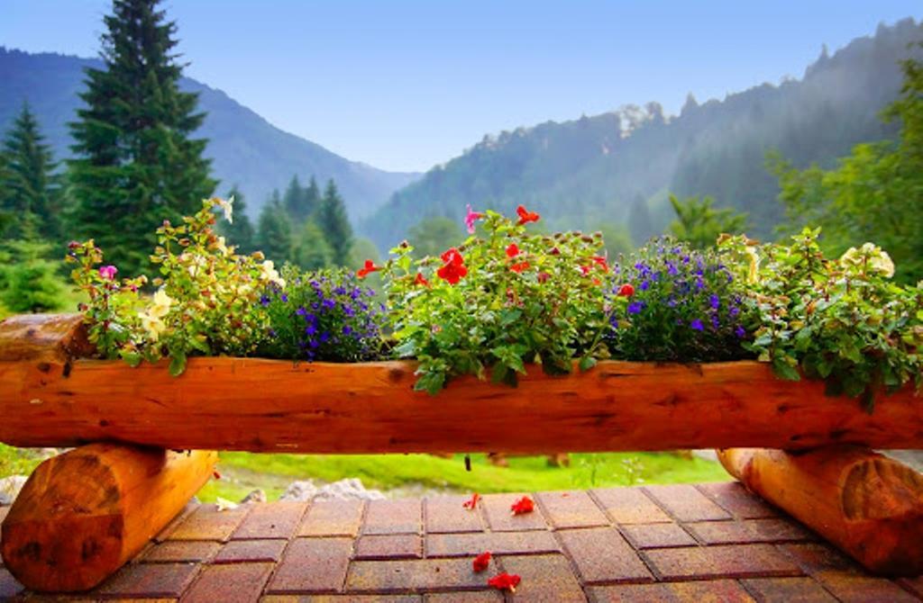 Cabana Casa Craita Zărneşti الغرفة الصورة