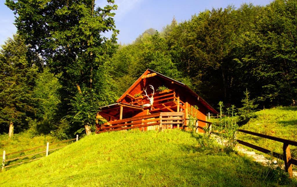 Cabana Casa Craita Zărneşti الغرفة الصورة
