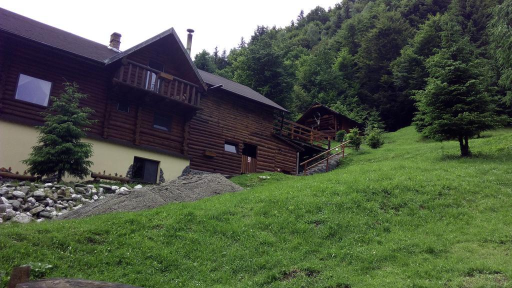Cabana Casa Craita Zărneşti المظهر الخارجي الصورة