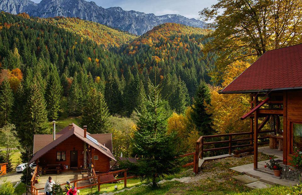 Cabana Casa Craita Zărneşti المظهر الخارجي الصورة