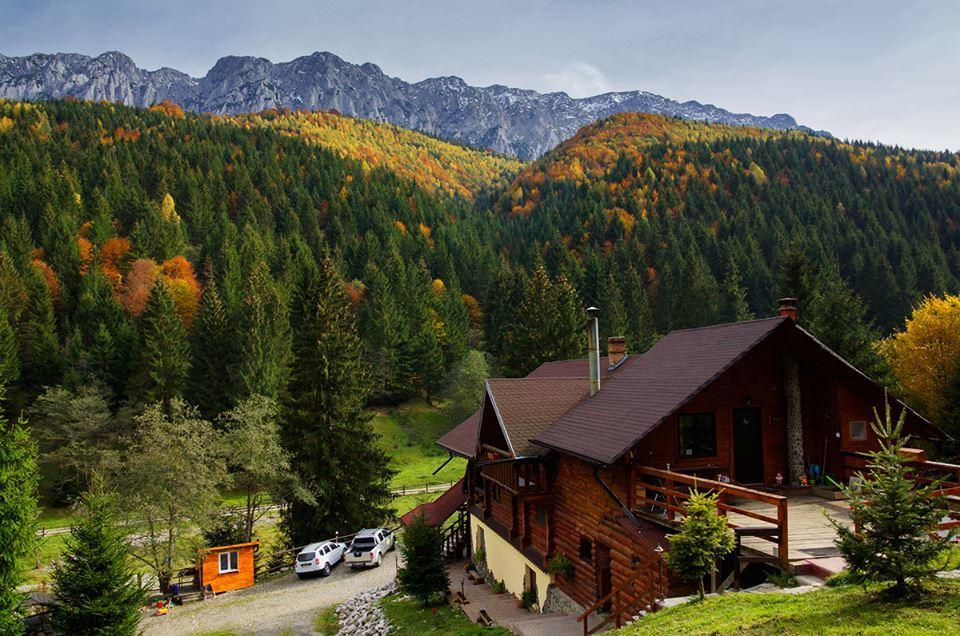 Cabana Casa Craita Zărneşti المظهر الخارجي الصورة