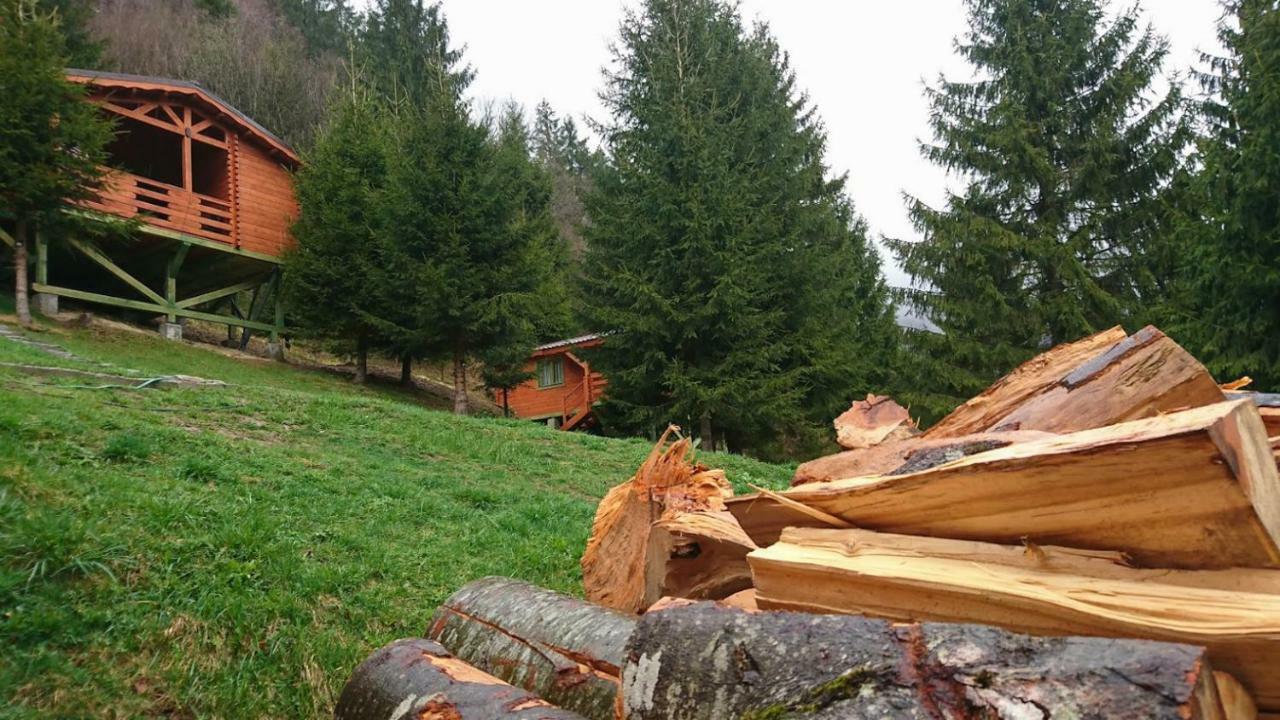 Cabana Casa Craita Zărneşti المظهر الخارجي الصورة